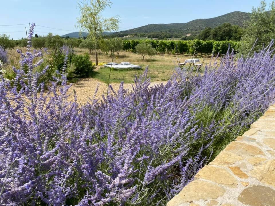 Maison D'Hotes Bastide St Victor A 2,5 Kilometres De Lourmarin Puyvert Bagian luar foto