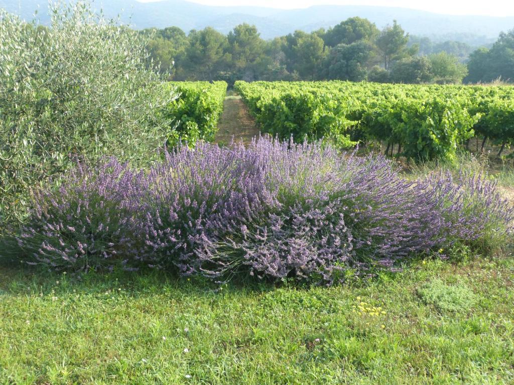 Maison D'Hotes Bastide St Victor A 2,5 Kilometres De Lourmarin Puyvert Bagian luar foto